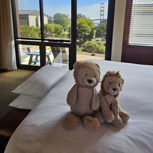 Meet your Posher, Lion